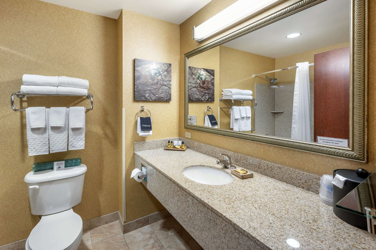 Bathroom 4, Best Western Plus Ponderay Mountain Lodge, Bonner