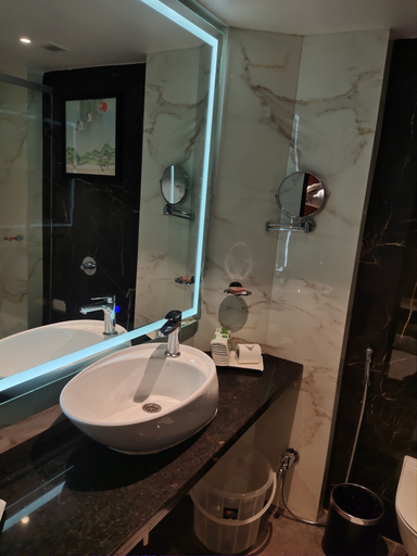 Bathroom 4, The Plaza, Hyderabad