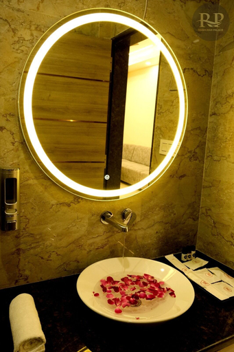 Bathroom 5, Raghubar Palace, Lucknow