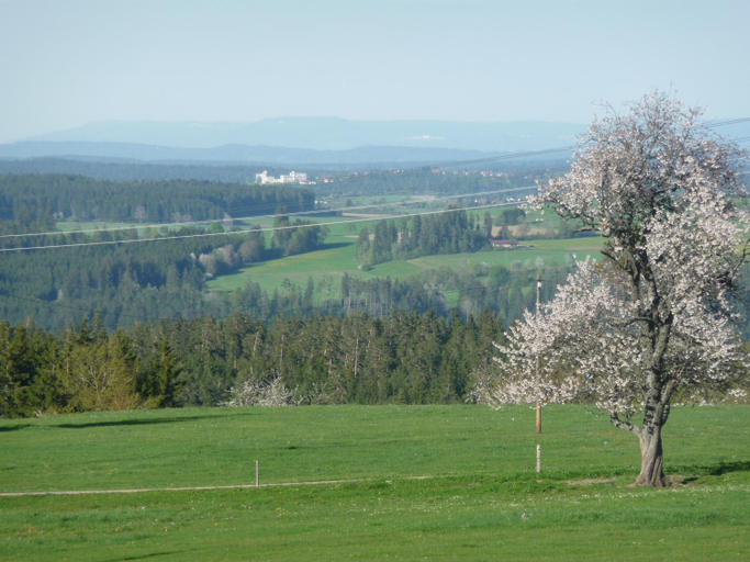 Others 4, Hohenpension Glashutte Bed&Breakfast Fruhstuckspension Hotel GARNI, Waldshut