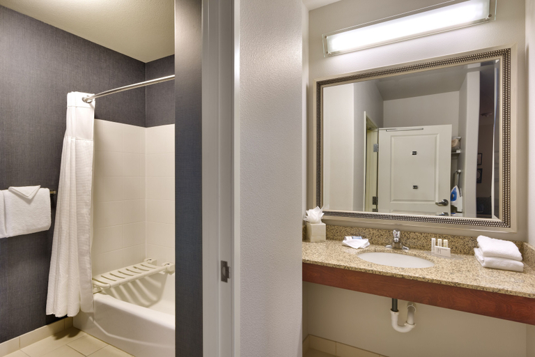 Bathroom 3, Residence Inn by Marriott Idaho Falls, Bonneville