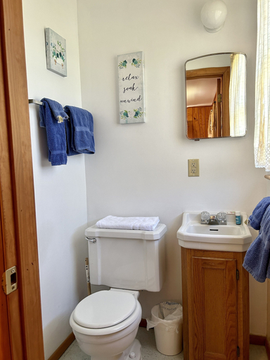 Bathroom 3, DRIFTWOOD RESORT BULL SHOALS, Marion