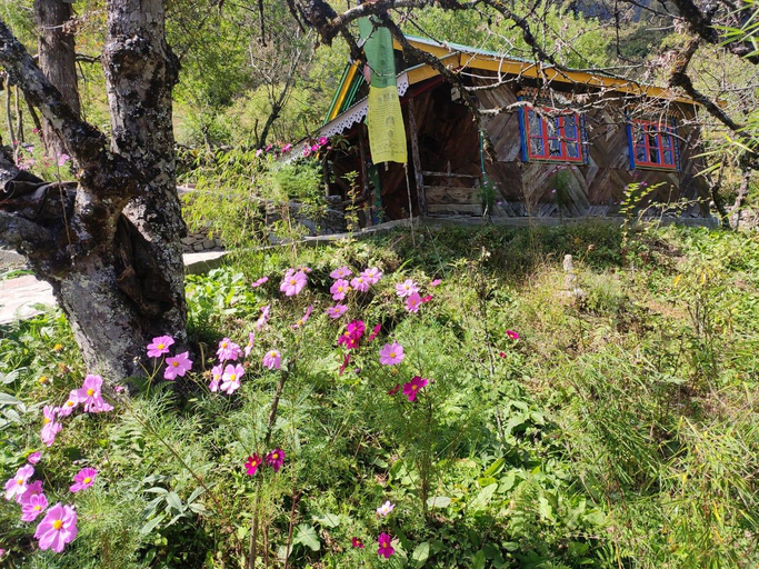 Others 5, Khemsa homestay, North Sikkim