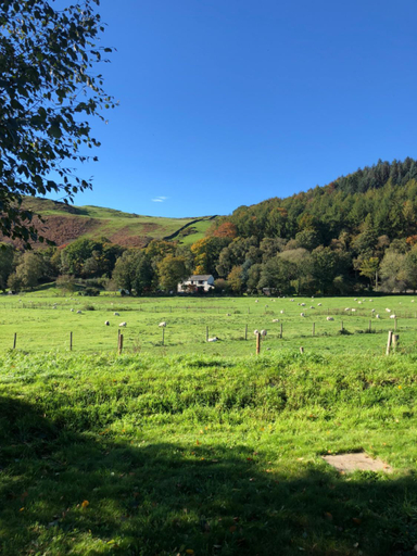 Others 4, Log home village, Cumbria