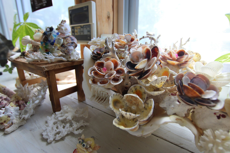 Food & Drinks 5, Iejima Kokoro House, Ie