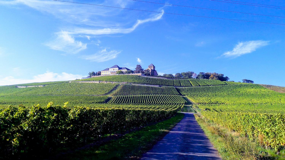 Exterior & Views 3, Rheingauzeit, Rheingau-Taunus-Kreis