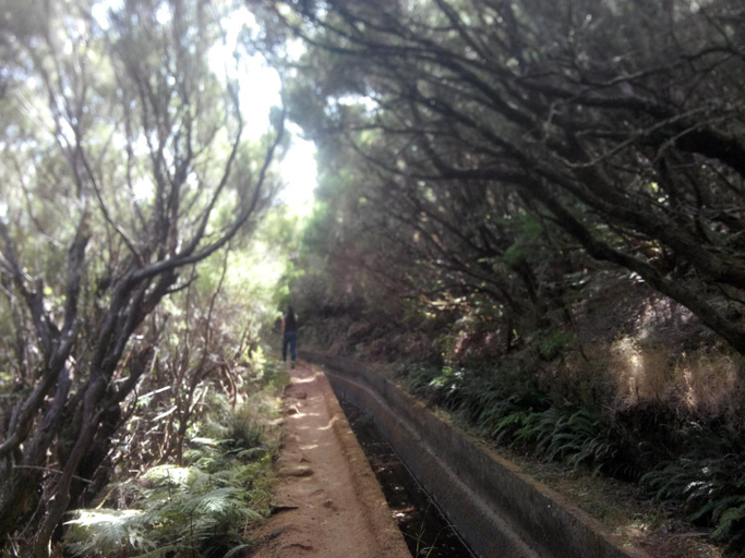 Others 2, Cc39- Q5, Funchal