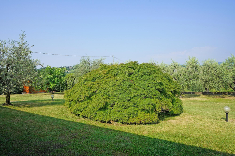 Others 2, Villa Tamara in San Felice del Benaco, Brescia