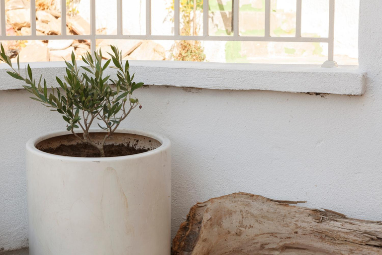 Others 4, Elina's house, North Aegean