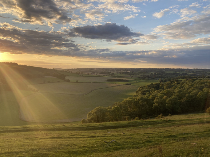 Others 5, The Forester, Wiltshire