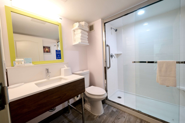 Bathroom 5, Hampton Inn Flemington, Hunterdon