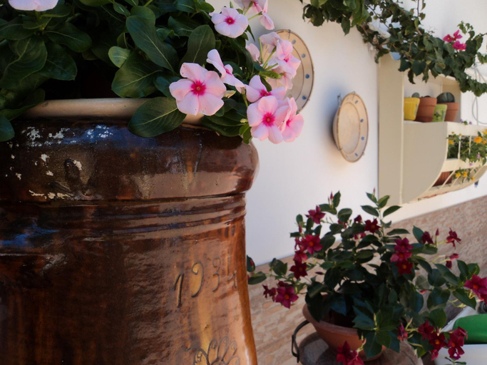 Others 4, B&B Il Viandante, Brindisi