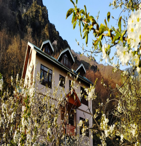 Others 4, Cherrytree Resort, Srinagar