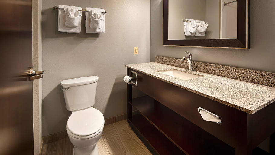 Bathroom 4, Best Western Plus Boardman Inn & Suites, Mahoning