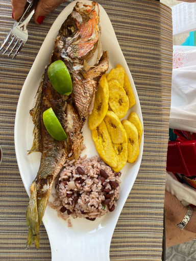 Food & Drinks 5, Los Delfines Hotel & Dive Center, Laguna de Perlas