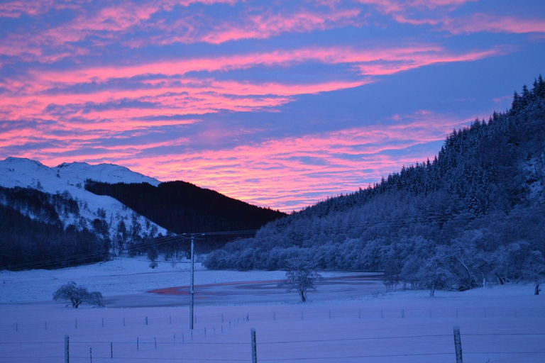 Others 3, Craskie Glamping Pods, Highland