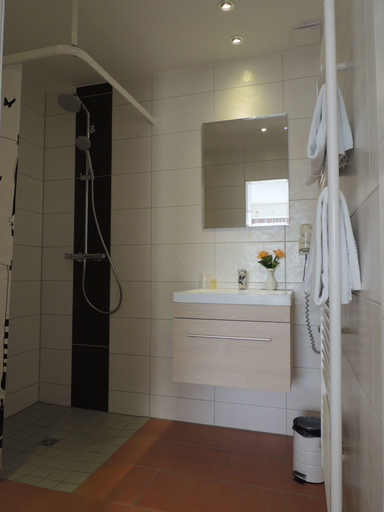 Bathroom 5, Faxe Schwarzwälder Hof, Ortenaukreis