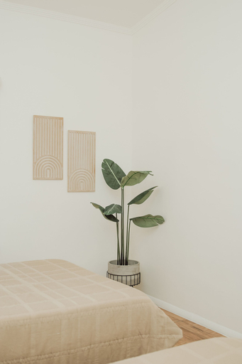 Bedroom 11