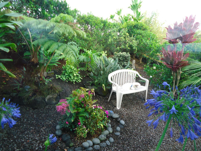 Others 2, GUEST HOUSE IN HILO, Hawaii