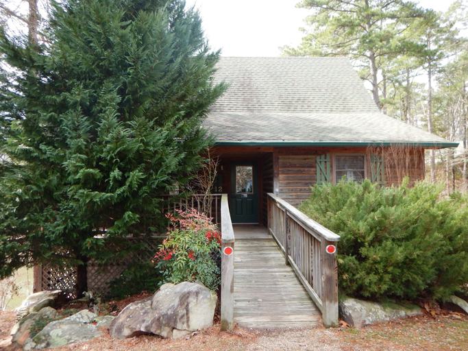 Primary image