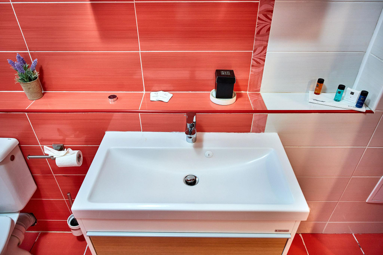 Bathroom 2, Apartament Madagascar Boutik Cytadell , Tuzla