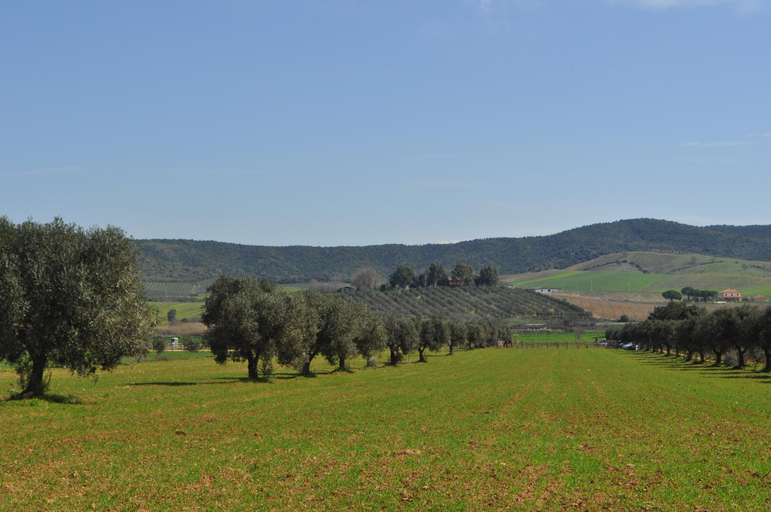Others 3, Tenuta Agricola dell'Uccellina, Grosseto