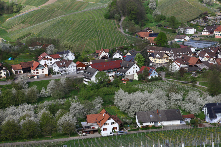 Exterior & Views 2, Faxe Schwarzwälder Hof, Ortenaukreis