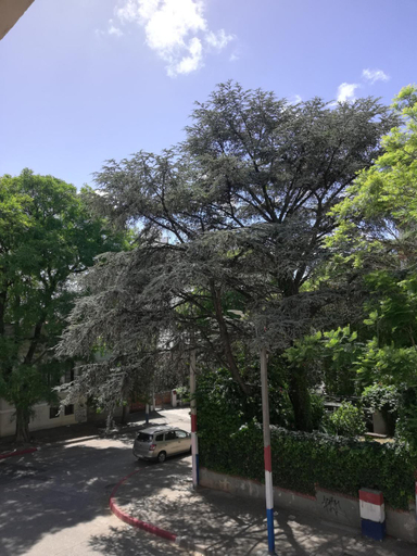 Others 4, Private Room in Beautiful Home, Montevideo