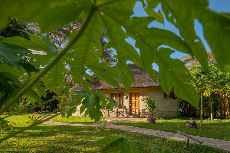 Others 2, Wild Dogs Lodge, Lusaka