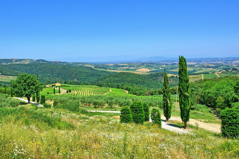 Others 5, Villa Il Caggio by PosarelliVillas, Siena