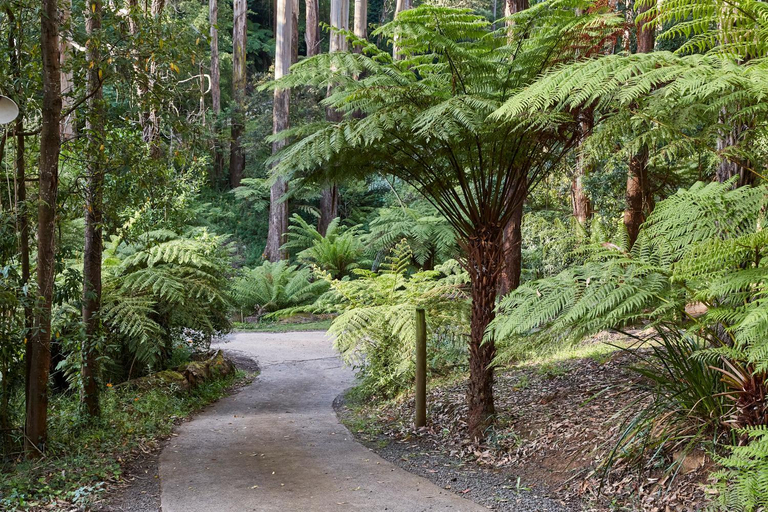 Others 4, The Fernglen Forest Retreat, Yarra Ranges - Dandenongs