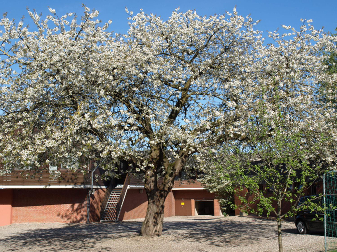 Exterior & Views 1, Hotel Gammelby, Rendsburg-Eckernförde