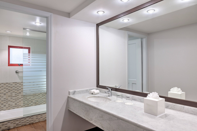 Bathroom 4, Four Points by Sheraton Santiago, Santiago