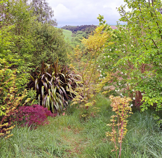 Others 5, Kotare BandB, Timaru
