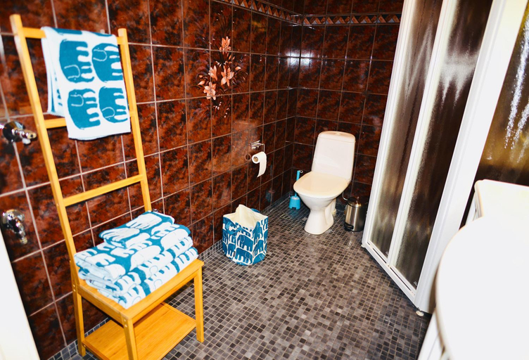 Bathroom 2, Hostel Diana Park, Uusimaa