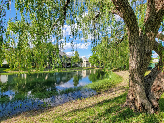 Lake, 3hcc 3 Bedroom Villa, Horry