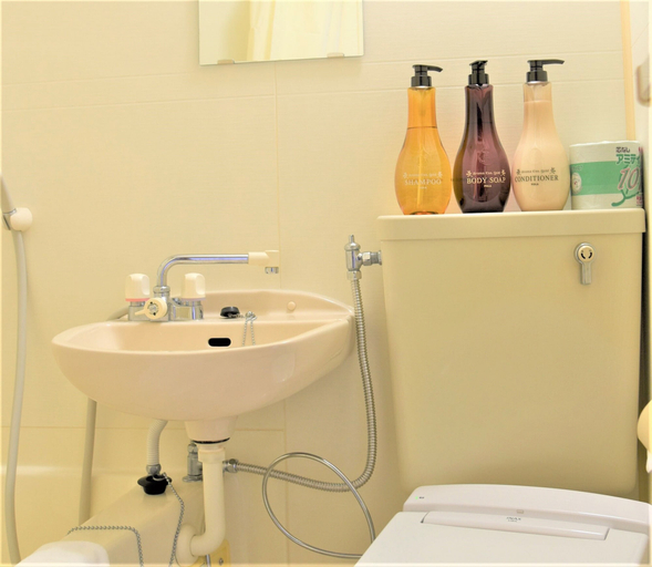 Bathroom, U-shuku AR3, Osaka