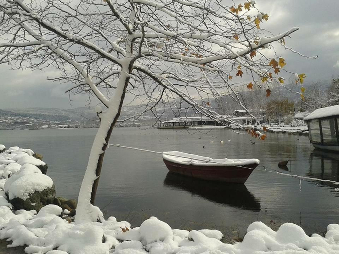 Food & Drinks 4, Sapanca Eren Villa-Isıtma Havuzlu, Izmit