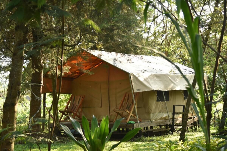 Exterior 5, Room in B&B - Red Rocks Rwanda - Safari Tent Twin, Musanze