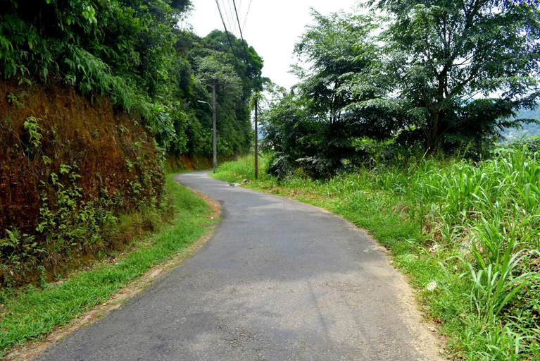 Others 5, Rathna Gems Halt, Ratnapura