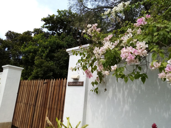 Exterior & Views 3, Ceylon Olive, Akmeemana