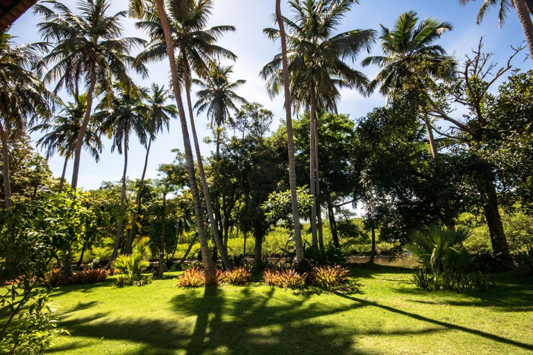 Others 5, Eco Pousada Paraiso dos Coqueirais, Japaratinga