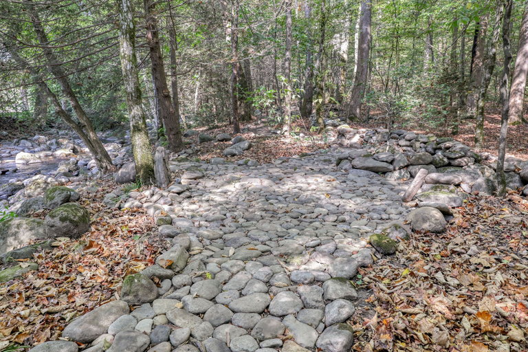 Others 2, Elk Run On Cosby Creek - 2 Bedrooms, 2 Baths, Sleeps 7 Cabin by RedAwning, Cocke