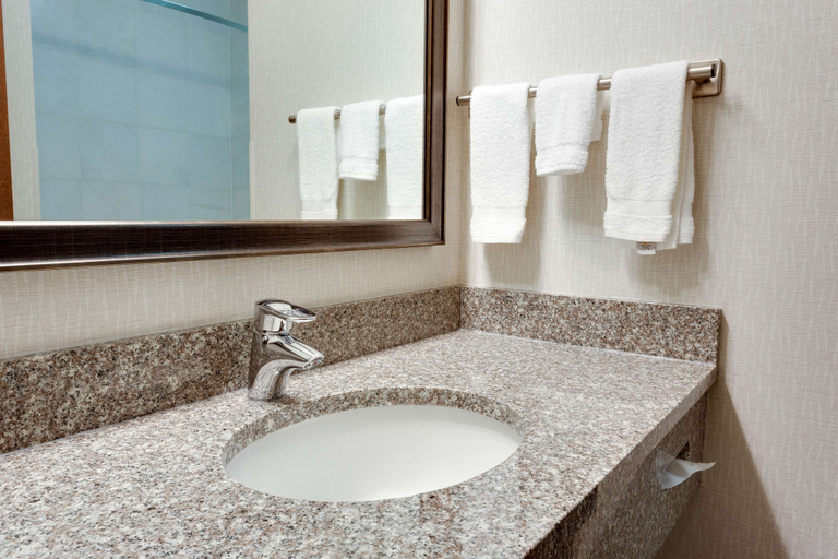 Bathroom 4, Drury Inn & Suites Greenville, Greenville
