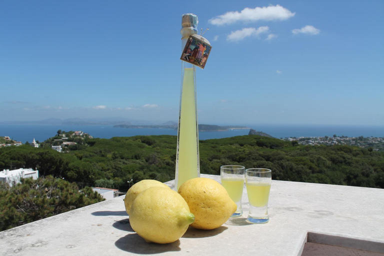 Food & Drinks 3, Villa La Favola With Sea View, Napoli