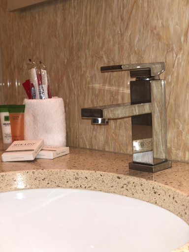 Bathroom 4, Elmhurst Hotel, New York