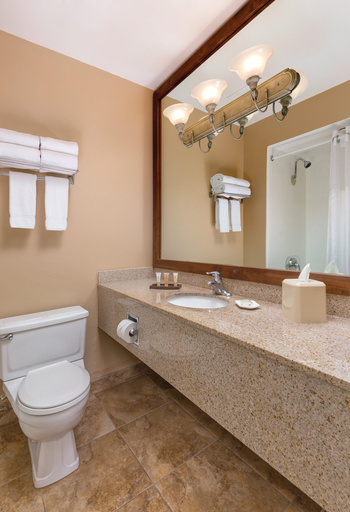 Bathroom 4, WorldMark Palm Springs - Plaza Resort and Spa, Riverside