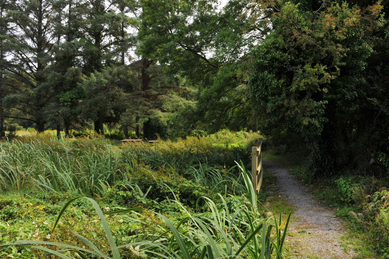 Others 4, Killarney Glamping at the Grove, Suites and Lodges