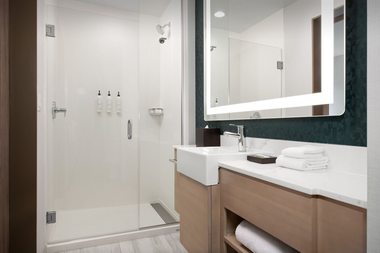 Bathroom 5, Springhill Suites By Marriott Sandpoint, Bonner