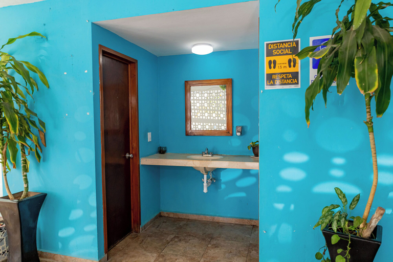 Bathroom 3, Hotel Las Palmas en Laurel, Isla Mujeres